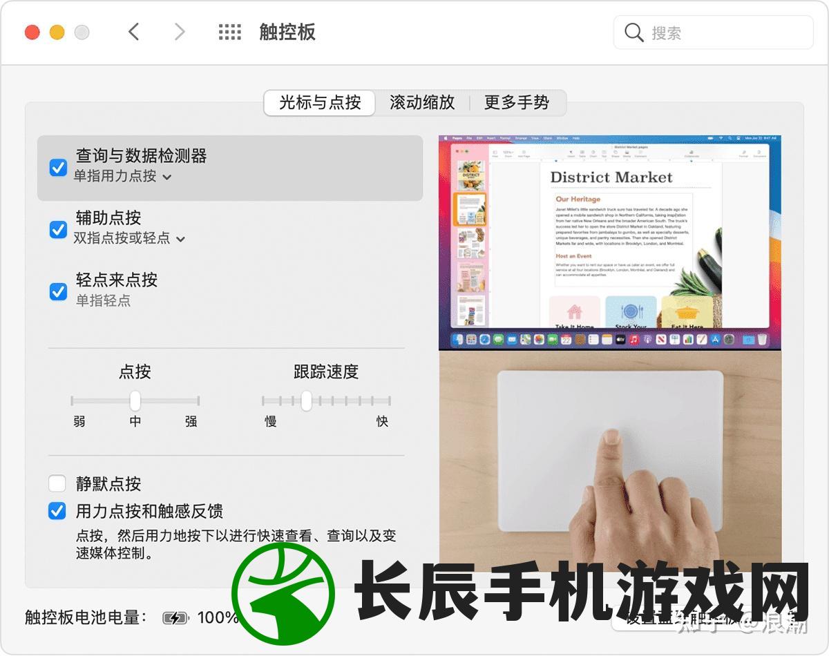 (口袋妖怪xy小箭雀在哪)口袋妖怪XY小箭雀：疾风之翼带你探寻神奇世界