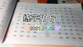 (反创世纪是什么fgo)反创世纪设定的探索与挑战