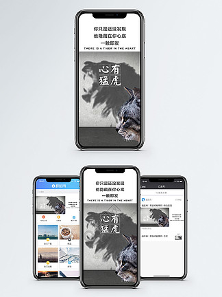 2024澳门正版猛虎报资料,实时更新解释落实_Phablet.3.906