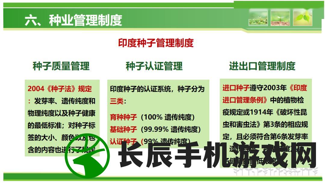 澳门一码一肖一待一中四|绝对经典解释落实_进阶款.1.755