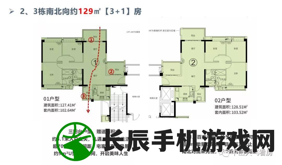 澳门管家婆一肖一码：赌王指南，赢遍所有，成为界的王者
