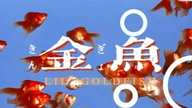 管家婆204年资料一肖  ,幸运之旅探索新机会_超清版WSAP.7.30