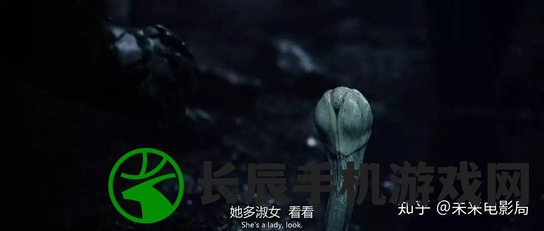 澳门内部资料和公开资料7456：揭秘澳门的神秘面纱，深度探索内幕信息及官方数据7456。