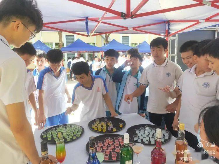 澳门最精准免费资料大全7456：打造你的王国，轻松享受乐趣！