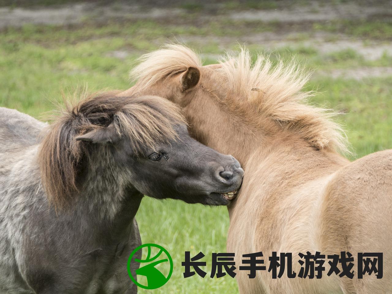 (红兰陵王多少钱一箱)38°升级版红兰陵王一箱价格多少？