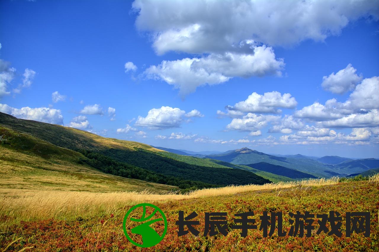 澳门最精准免费资料大全旅游团7456：畅游澳门，体验绝佳旅游体验！