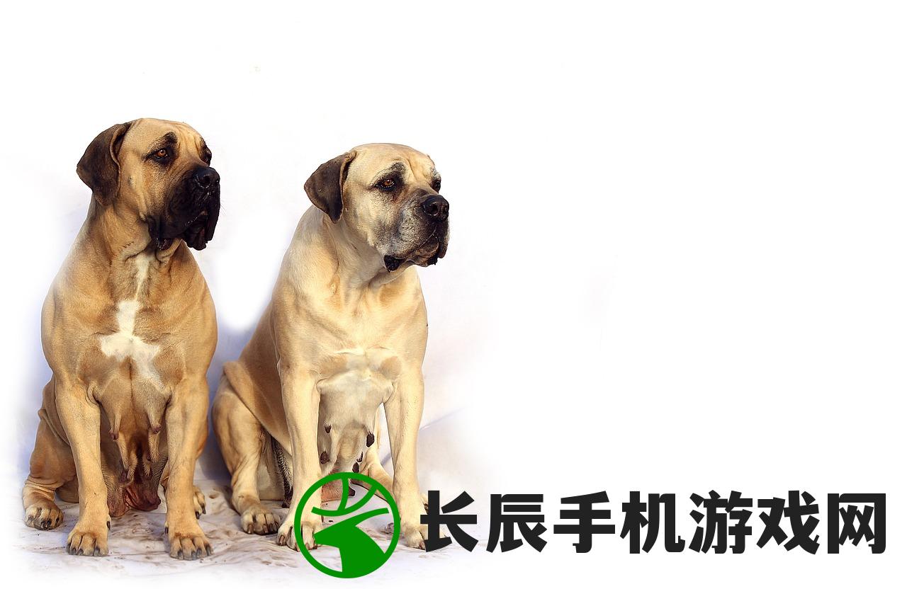 (剑魔独孤求败异界录类似小说)剑魔独孤求败异界录，探寻传奇之旅