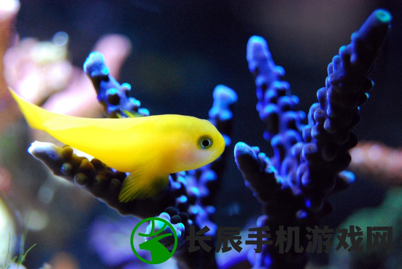 (古鱼 我的江湖)探寻江湖古鱼的传奇世界：我的江湖古鱼第一版