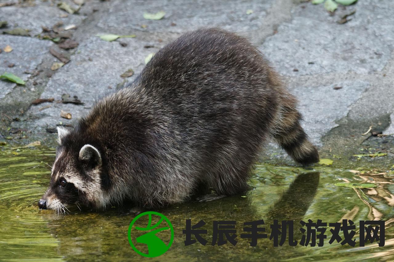 (浣熊ip)为什么浣熊网站打不开？如何解决浣熊网站无法访问的问题？
