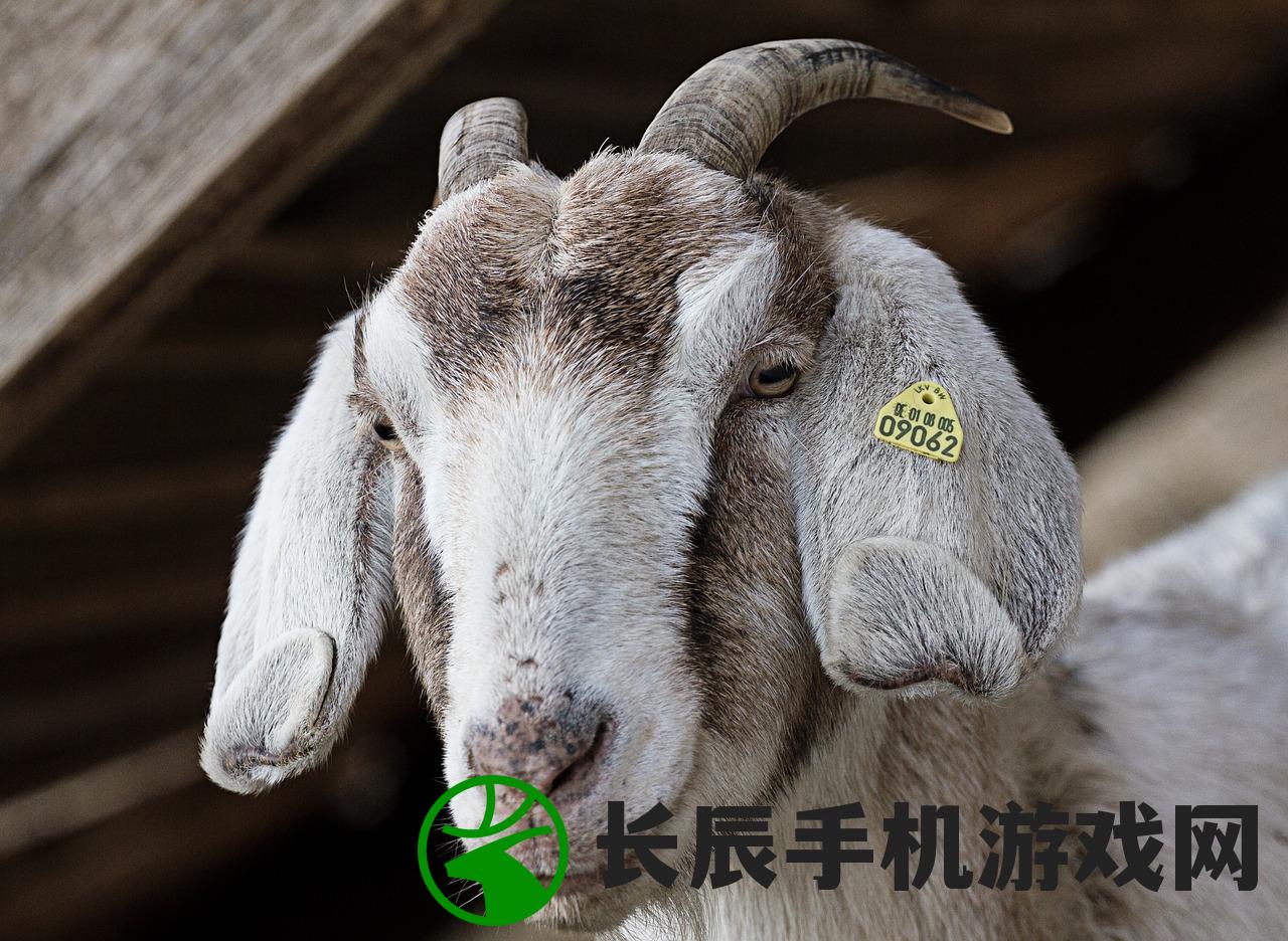 (我真是大明星为什么封了)我真是大明星，探寻现代流行文化中的明星现象