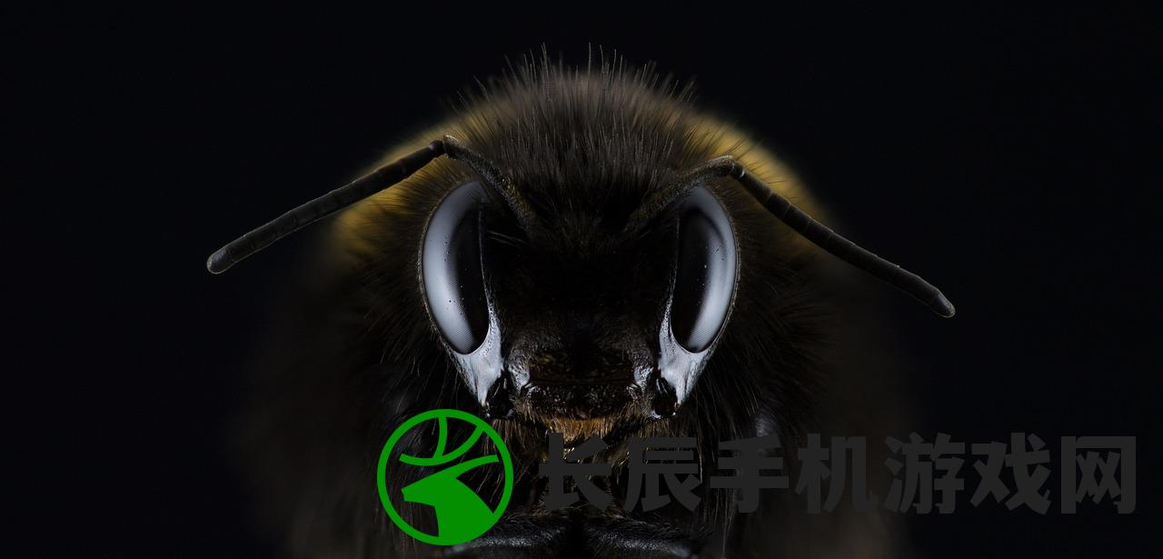 (盖亚奥特曼22集的石之翼)盖亚奥特曼第22集，深度解析与常见问题解答