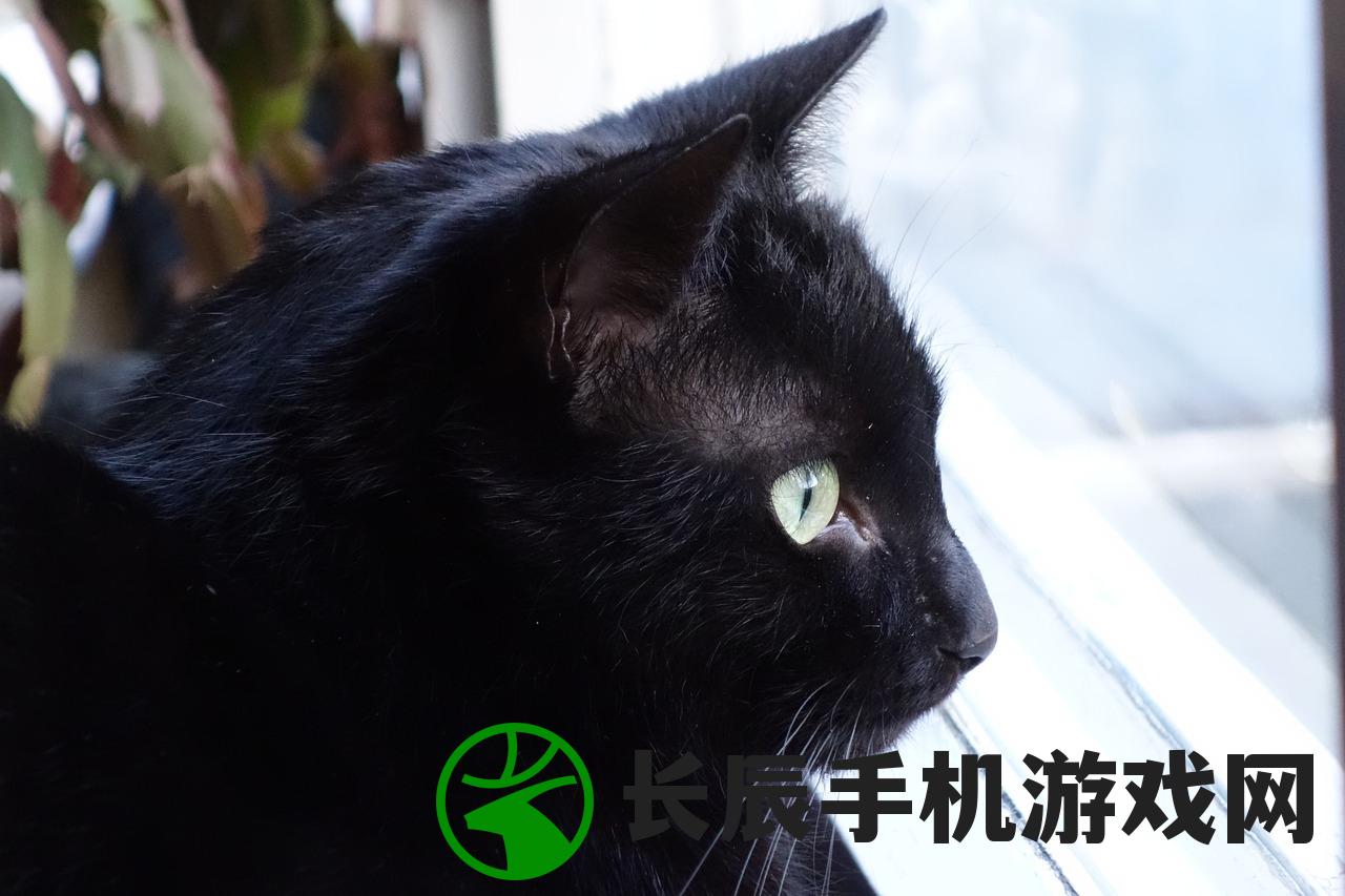 (猫宅日记官方下载)猫宅日记手游下载：探索充满趣味和挑战的宠物世界！