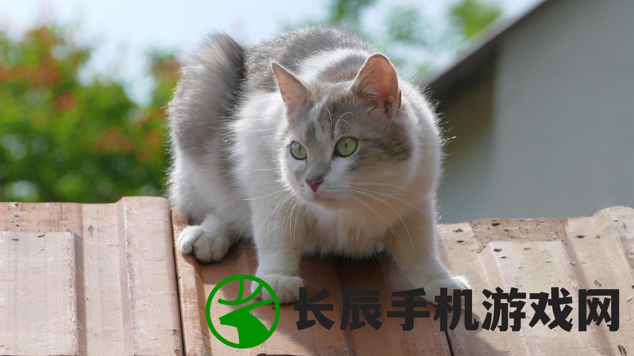(猫宅日记官方下载)猫宅日记手游下载：探索充满趣味和挑战的宠物世界！