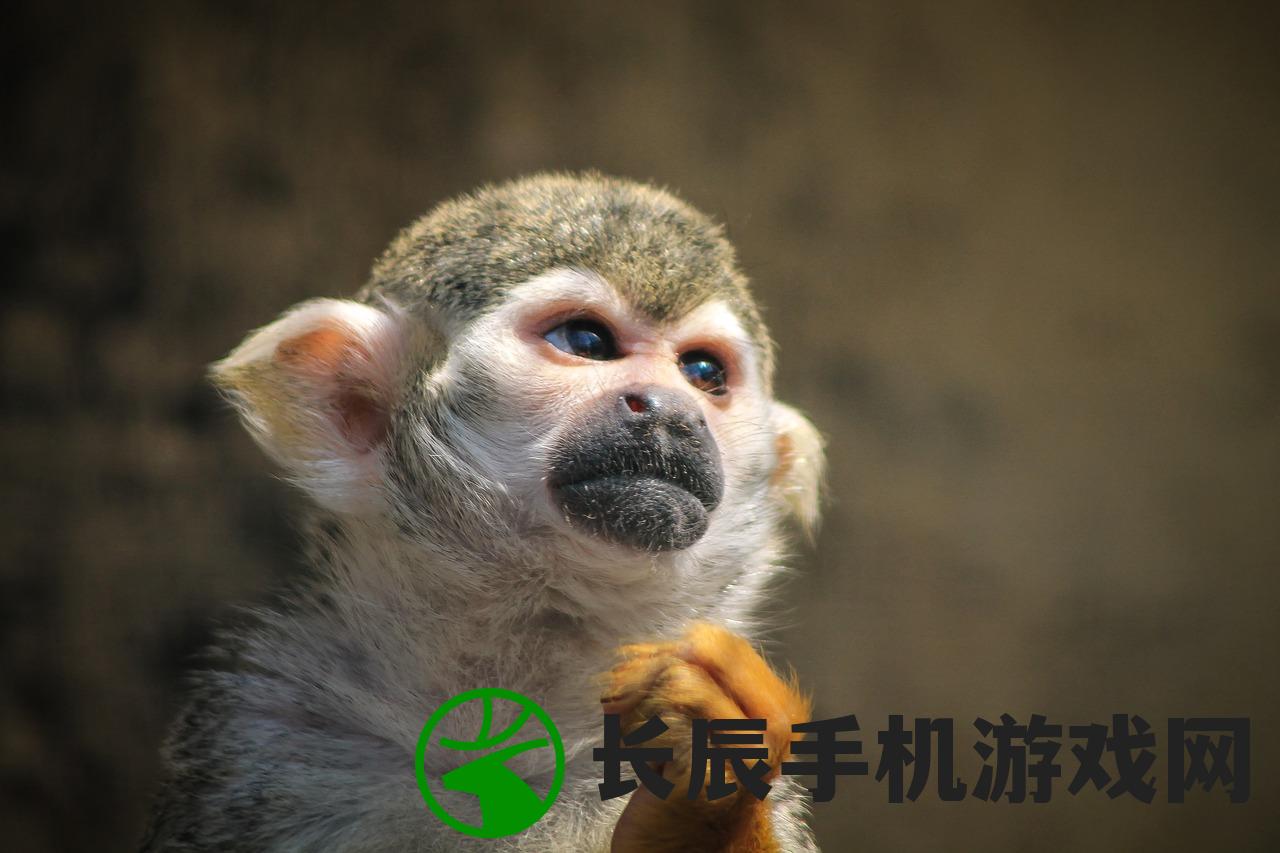降神计划最忌三个属相：猪、猴、蛇，必须小心应对