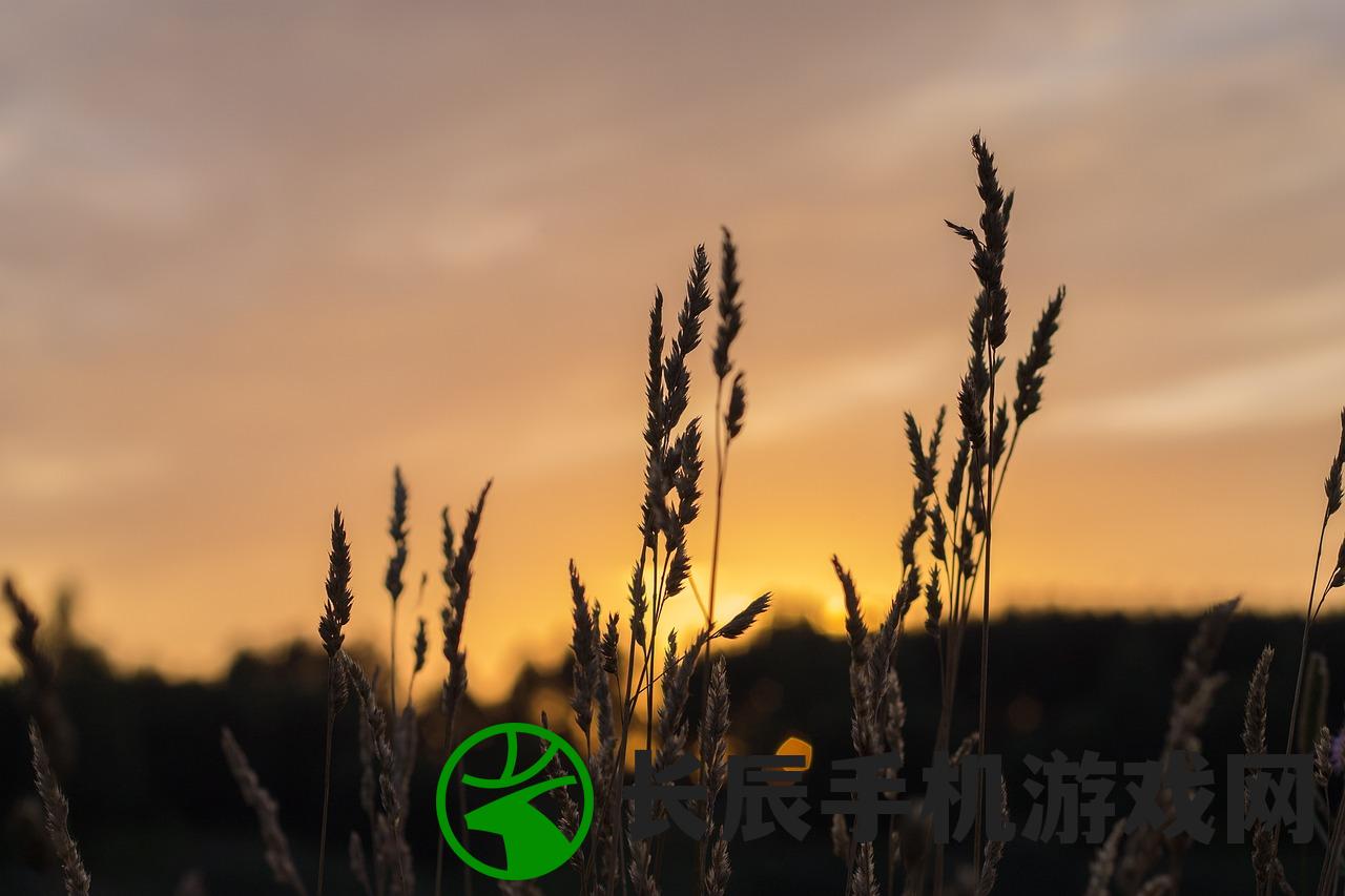 澳门精准三肖三码三期内必中三期的软件特点|绝对经典解释落实_延展款.7.253