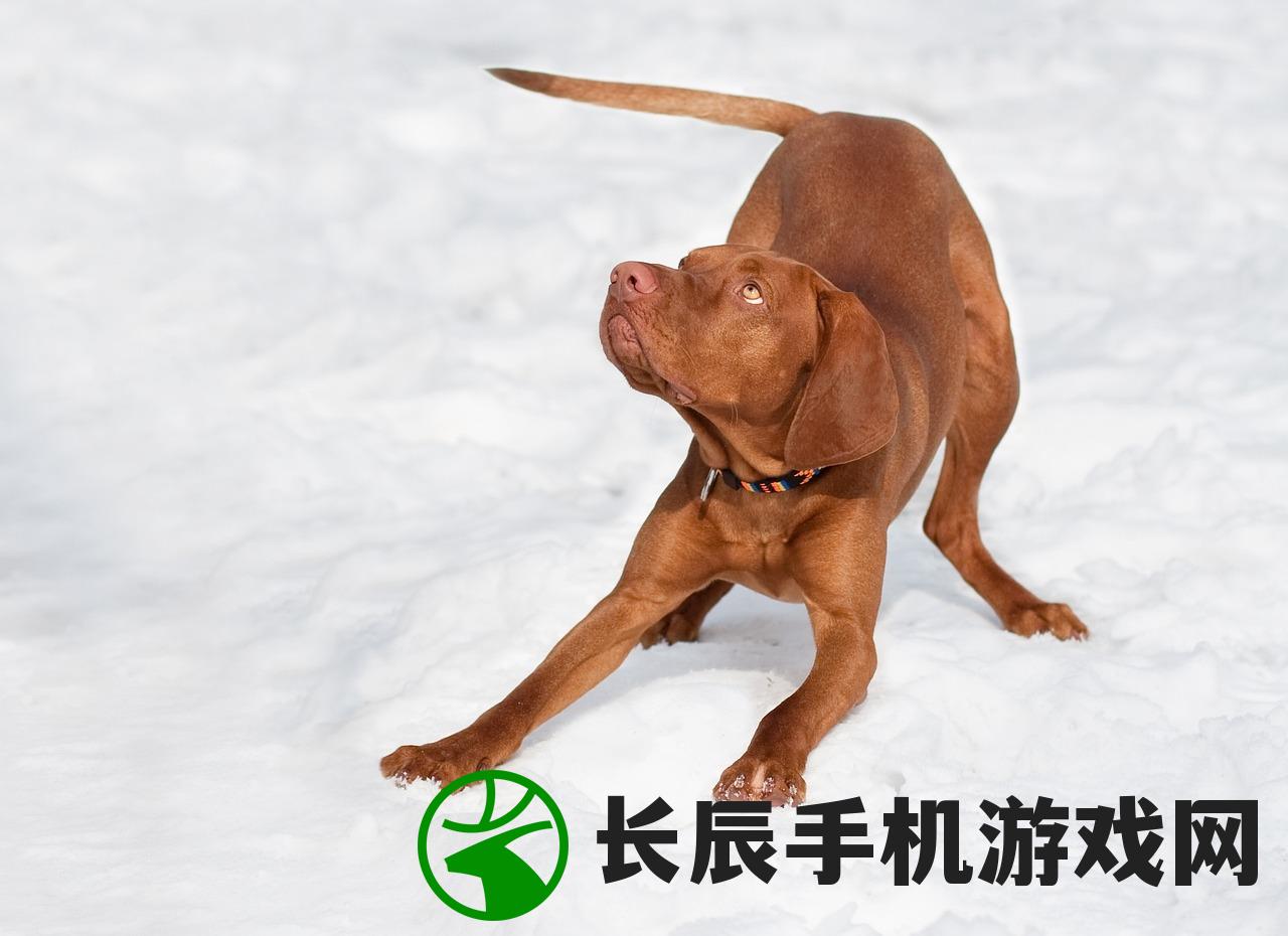 (火影忍者大乱斗下载)火影忍者大乱斗，一场史诗般的战斗盛宴