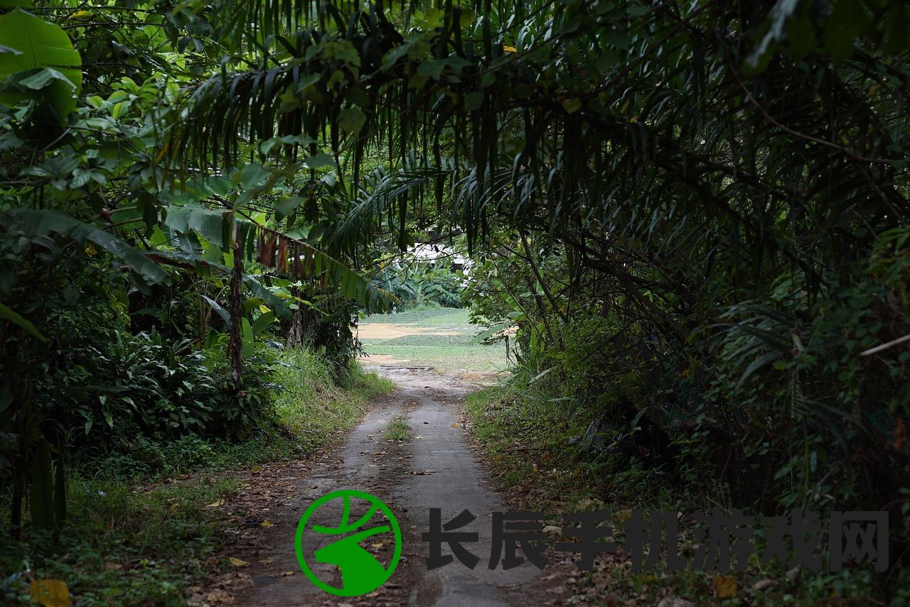 (神奇的探险之旅之原始森林探险)探险宝贝原生丛林：与神秘鸟儿展开大冒险