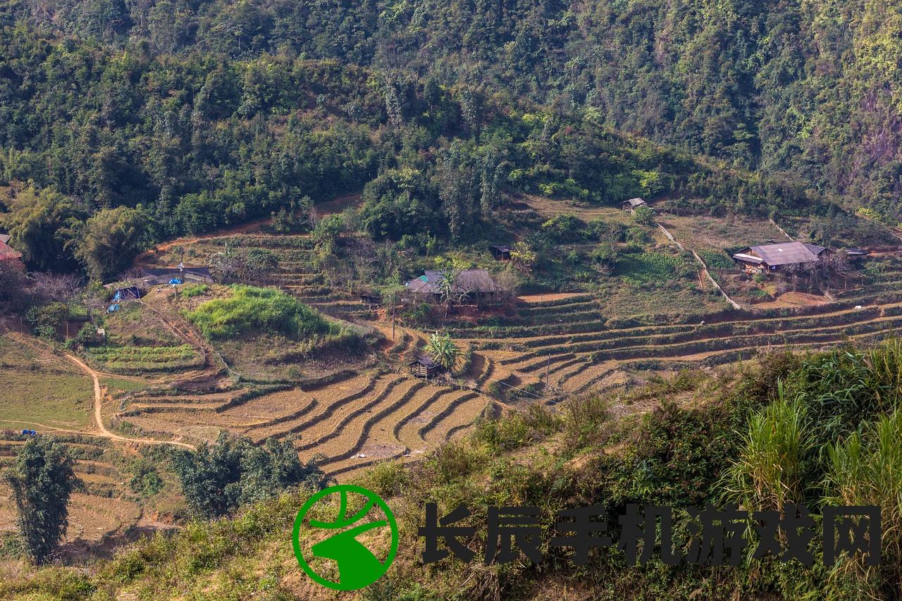 (奇妙王国的故事)奇妙国王：德高望重的统治者与善良之王