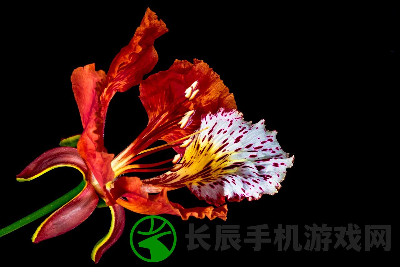 (红蓝大作战官方下载)免费下载：红蓝大作战安卓版，精彩对决红蓝之争