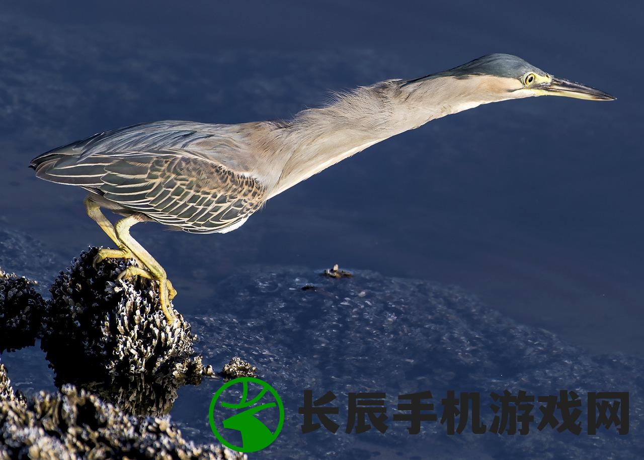 (我想看怪兽岛)探秘怪兽岛生存视频：挑战恐怖生物，拯救自己求生