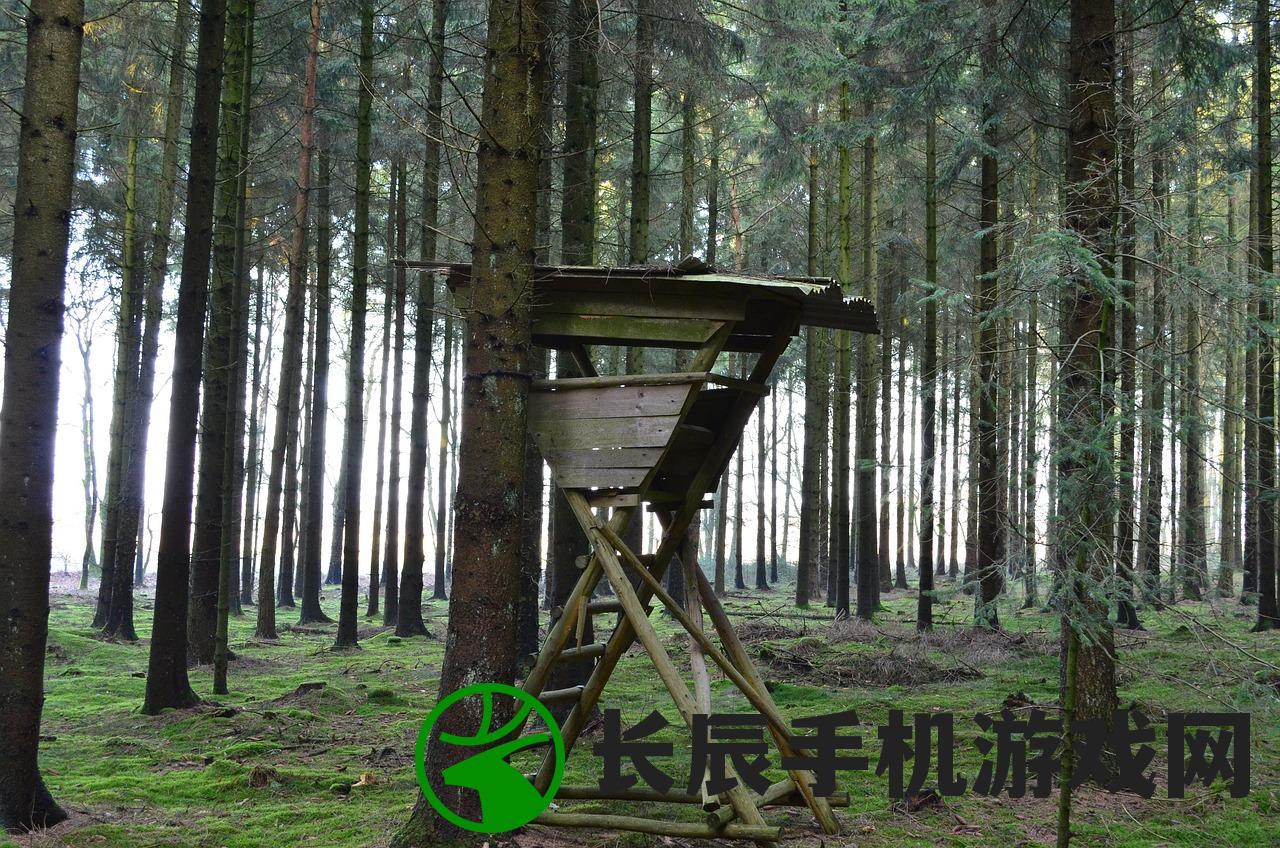 猎人王绿色版下载安装官网：免费获取最新版本，轻松开启狩猎之旅