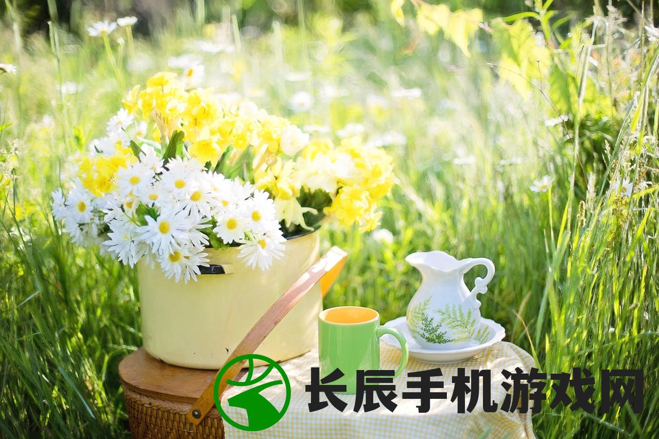 (《夏日水上乐园物语》)夏日水上乐园物语季节：畅游阳光下的欢乐时光