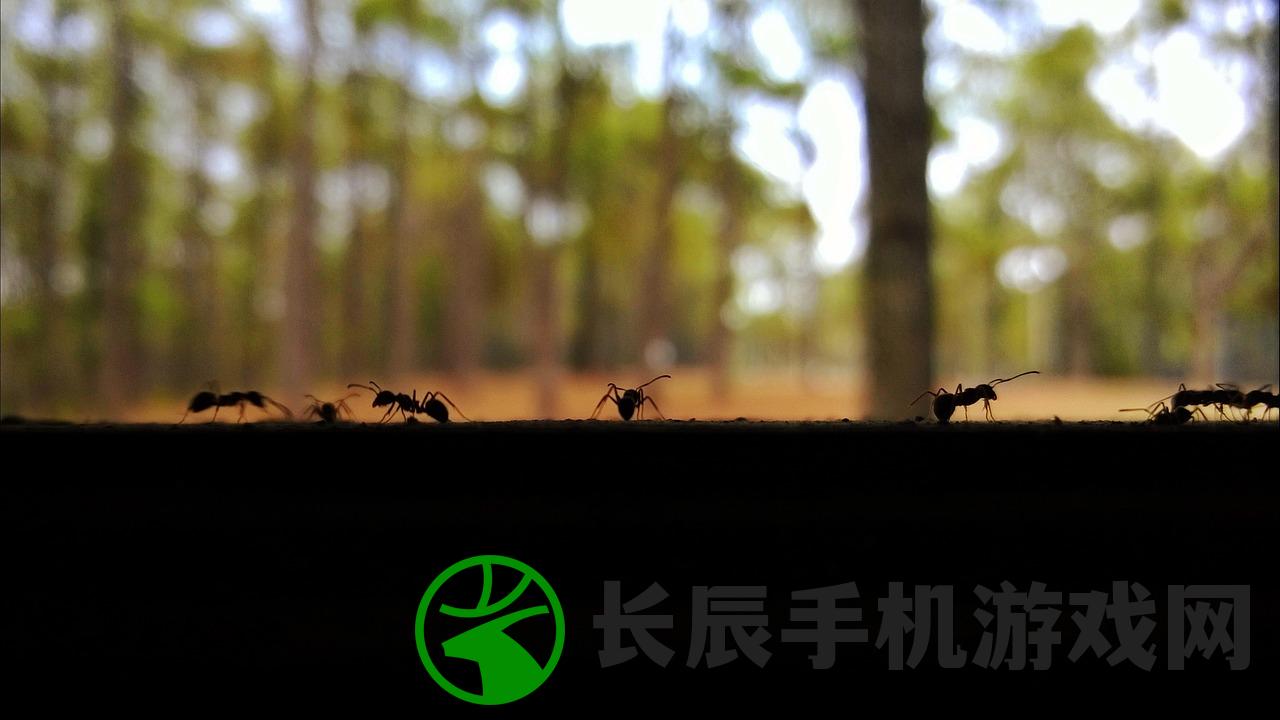 (适合独自享受悠闲时光的手游推荐下载)适合独自享受悠闲时光的手游推荐