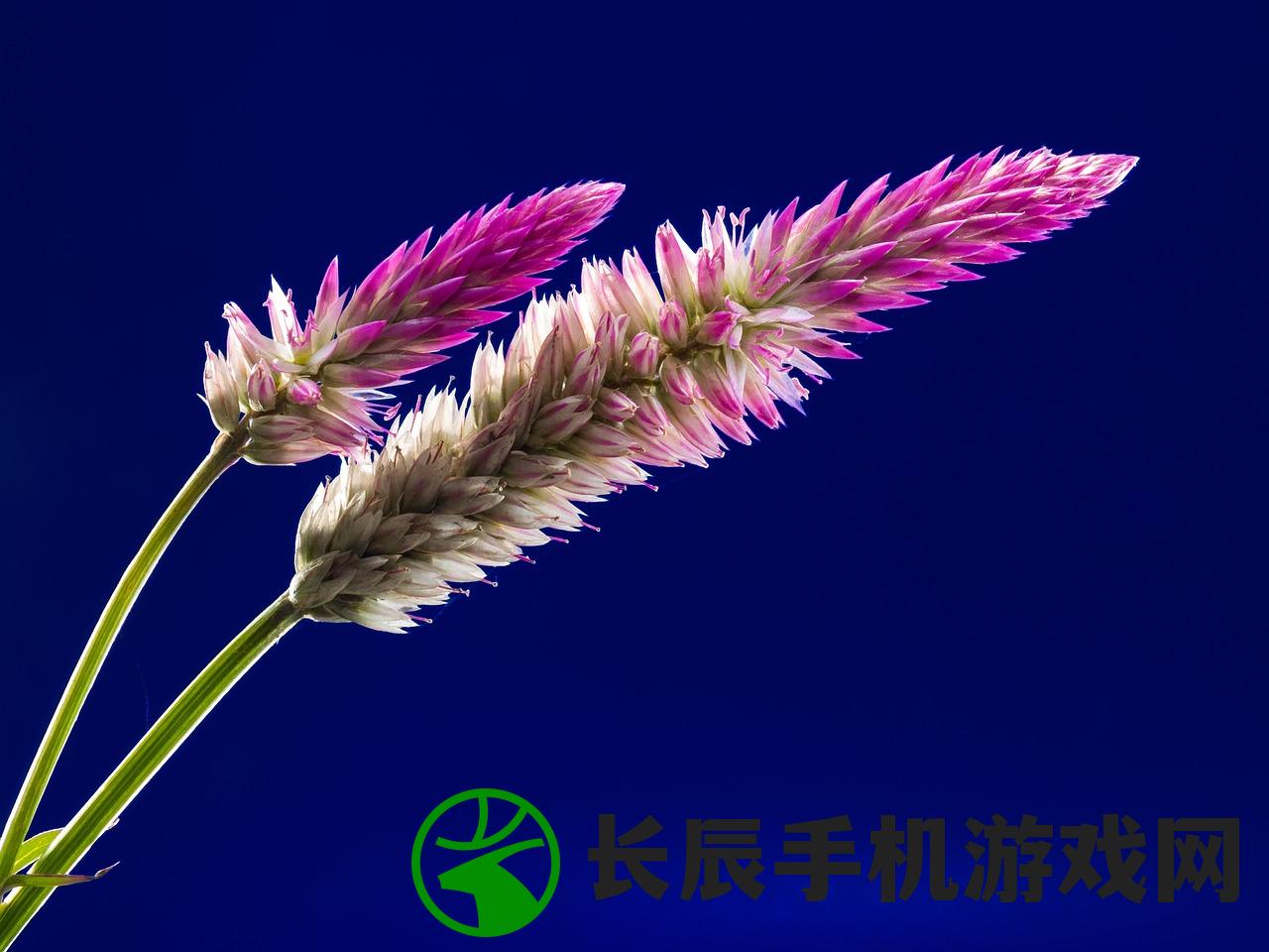 (红尘和浮华之间深刻的联系,缠绵不绝什么意思)红尘和浮华之间深刻的联系，缠绵不绝