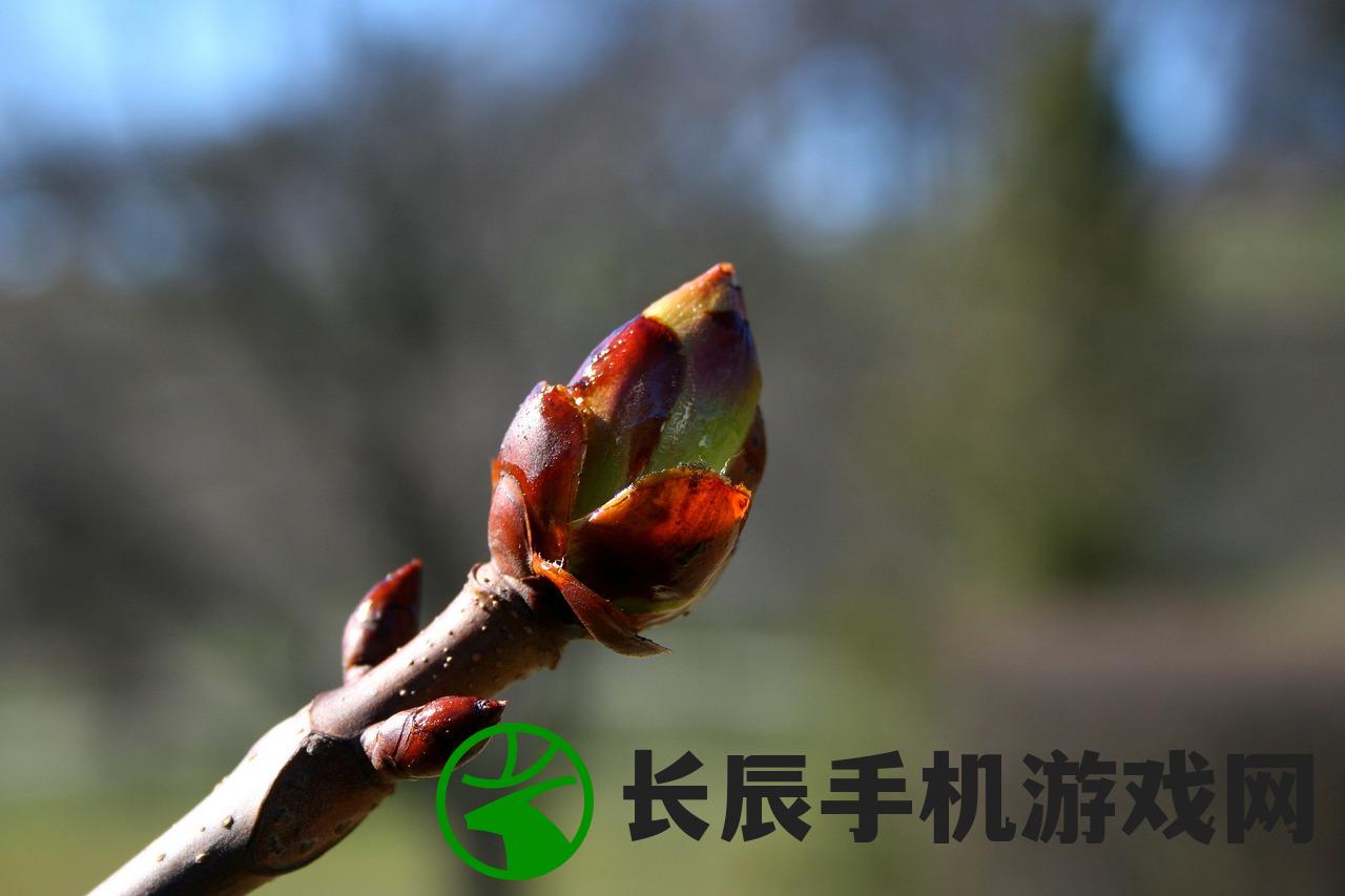 (带炫酷翅膀的坐骑仙侠手游)触动心弦的翅膀坐骑，仙境华丽仙侠手游