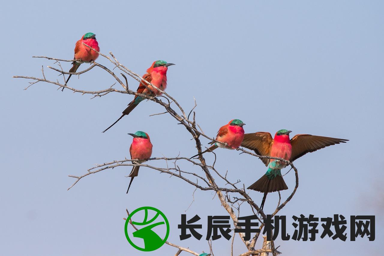(黎明的向日葵图片)[HP] 黎明向日葵：探索晨间的光芒与生命的希望
