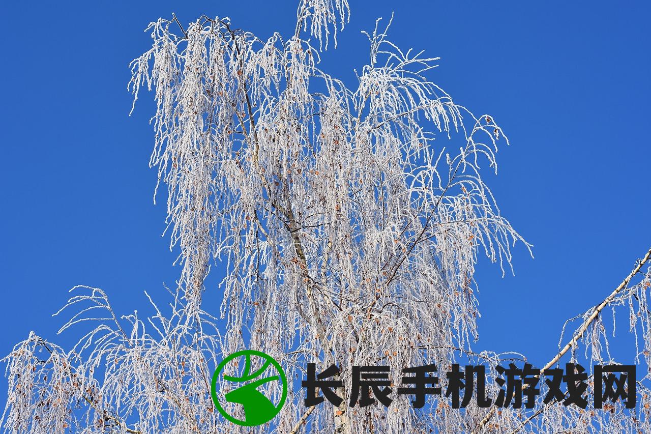 (星之觉醒攻略游戏评论怎么写)星之觉醒全面攻略，探索未知的星际世界