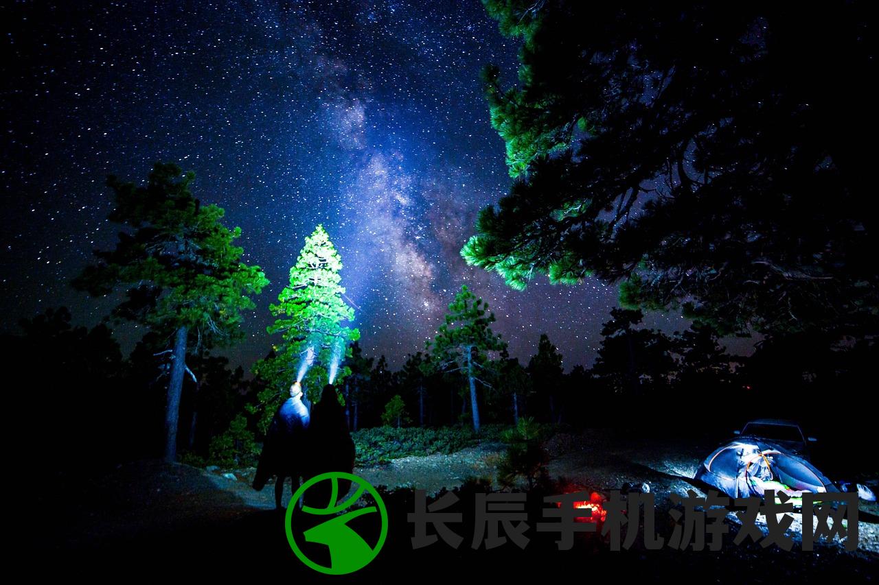 (动物骑士动画片)动物骑士团，iOS平台的独特魅力与冒险之旅