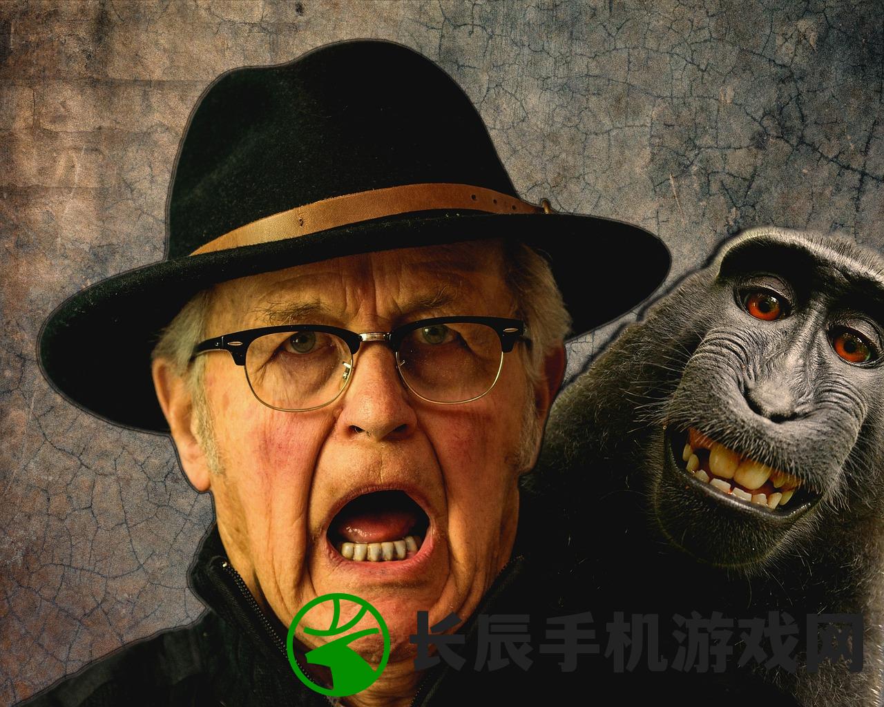 (新澳门期期准)2024新澳三期必出三生肖|揭秘财富增长的秘密策略_未来版IP.4.669