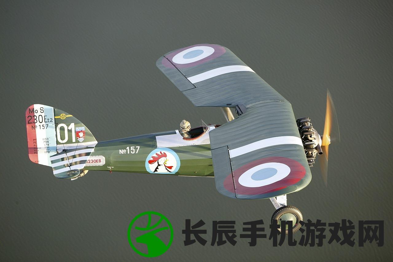 (点击英雄修改器)英雄挂了个机修改器，游戏规则岂能破坏
