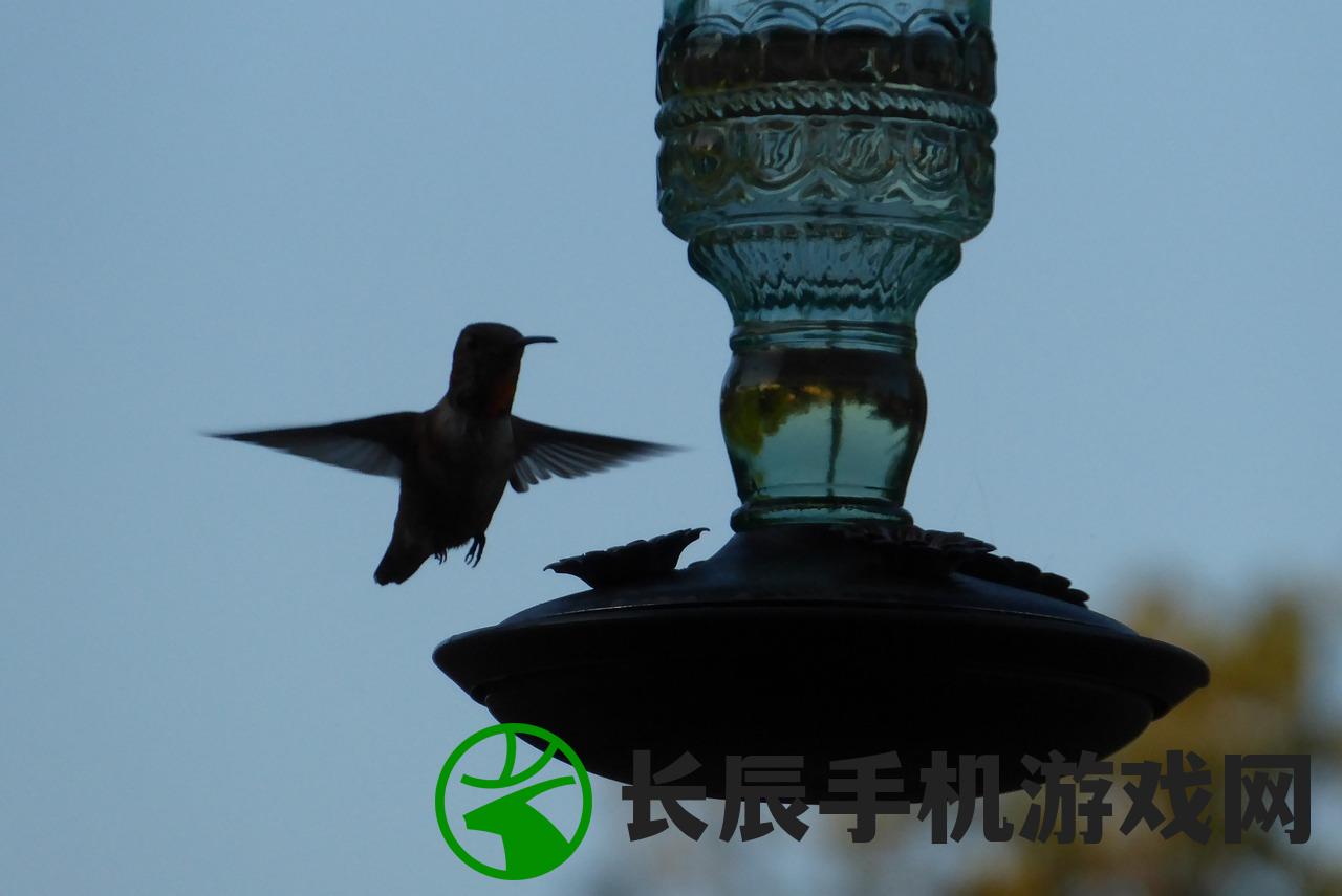 (天使翼数)天使神翼：飞翔在天际的神秘力量解析