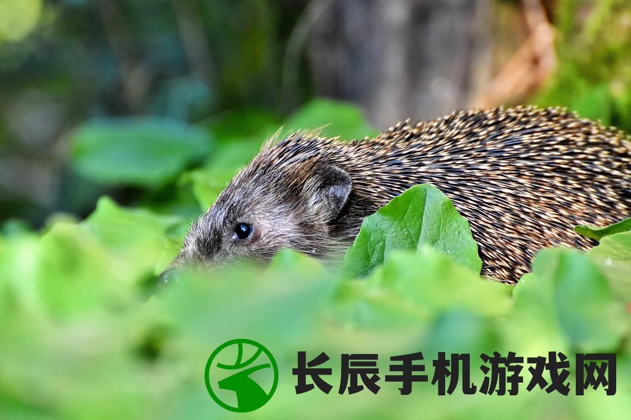 (合并动物下载)探索最新热门的动物合并游戏大全列表 (合并动物下载)探索最新热门的动物合并游戏大全列表