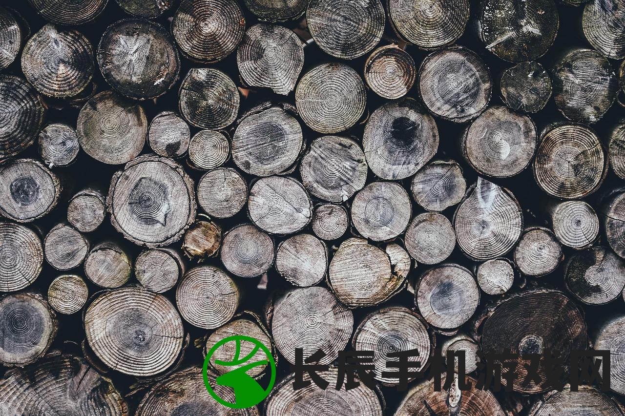 (傲血战天全文免费阅读)傲血战天笔趣阁，热血江湖中的文学与战斗交织传奇