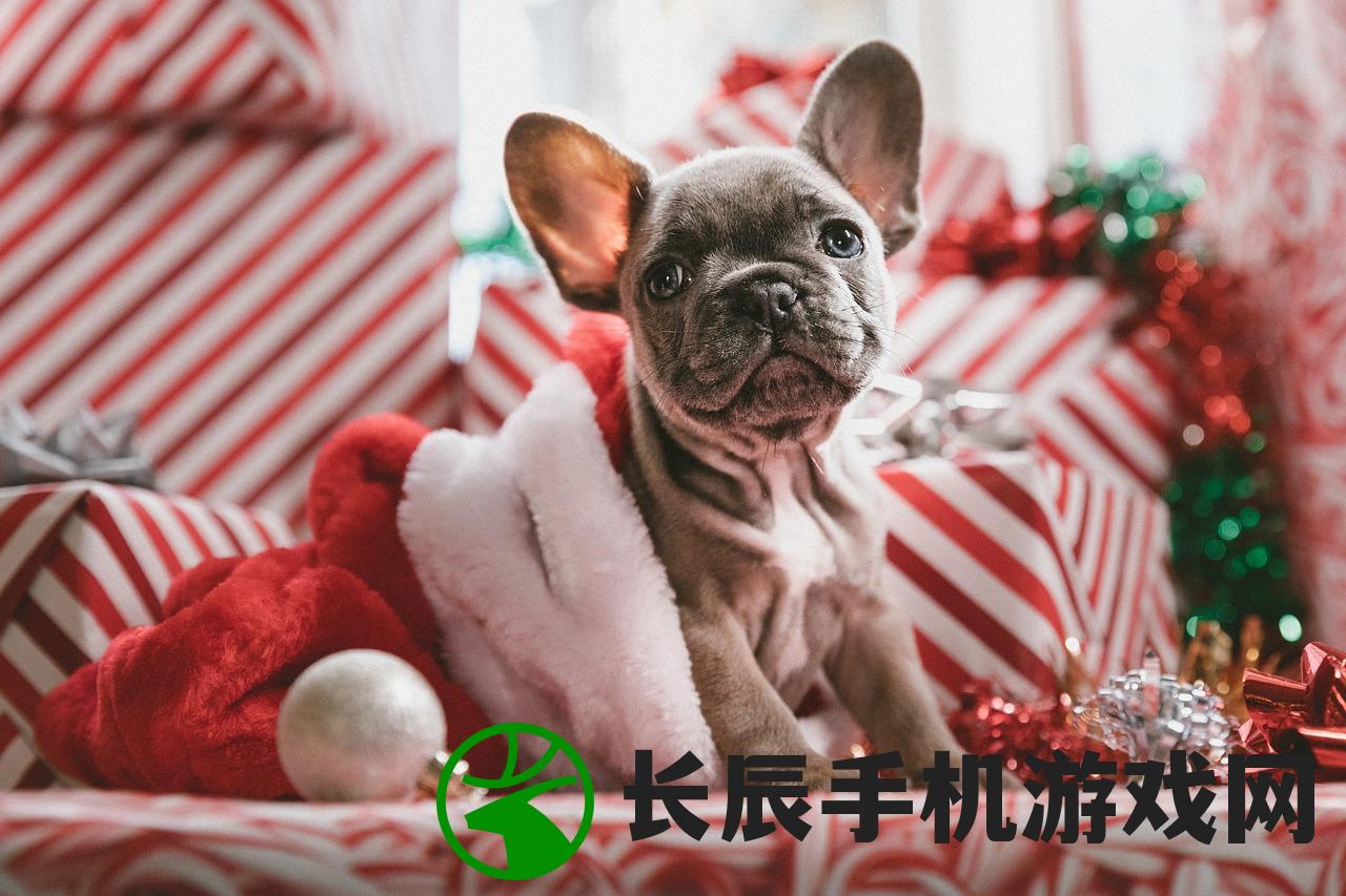 (猪猪侠之超星萌宠第一季第十六集)猪猪侠之超星萌宠4动漫：新一季精彩继续，更多惊喜等你解锁！