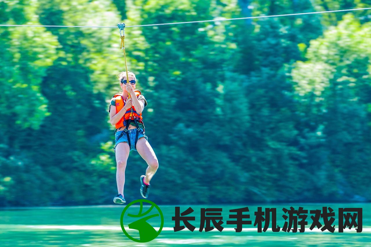 (三国戏赵云传攻略(完整版))三国戏赵云传攻略大全及常见问题解答