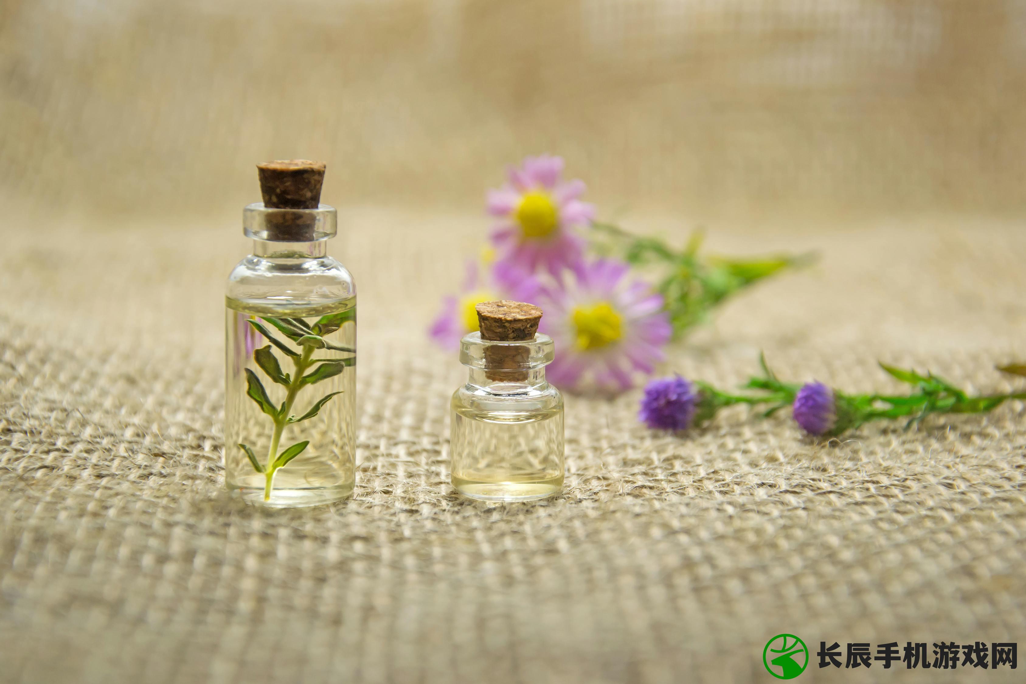花与香水与猫兑换码在哪里使用?了解它们在哪些领域可以发挥作用