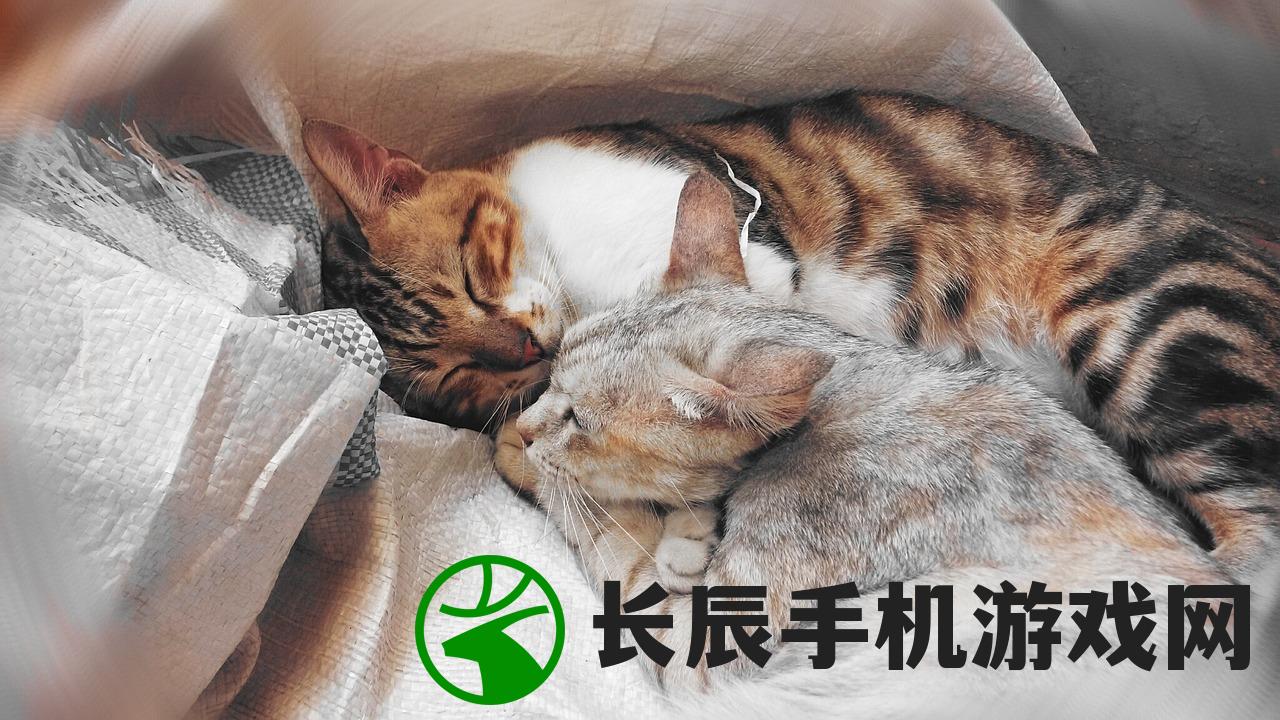 (梦回三国攻略)梦回三国，策略与战术，玩转三国世界！