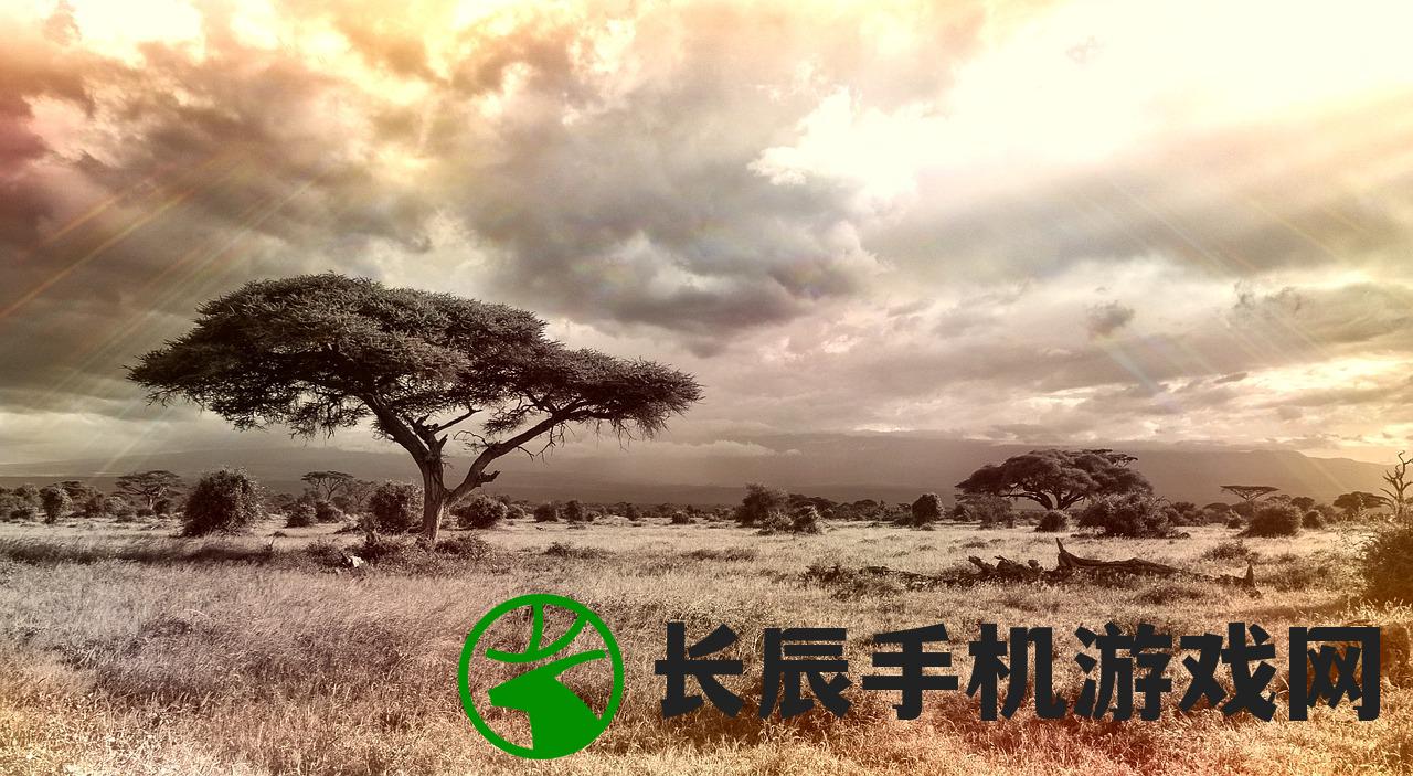 (在江湖飘)在江湖中漂泊多年，漂在江湖有几个版本，各具传奇色彩。