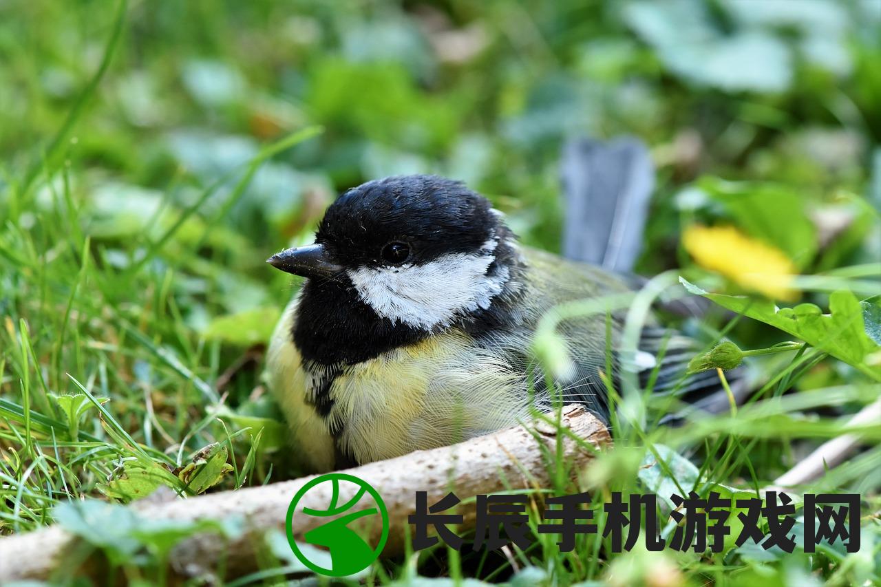 (微信小程序萌宠封神变态版)微信小程序萌宠封神：打造最可爱的萌物世界