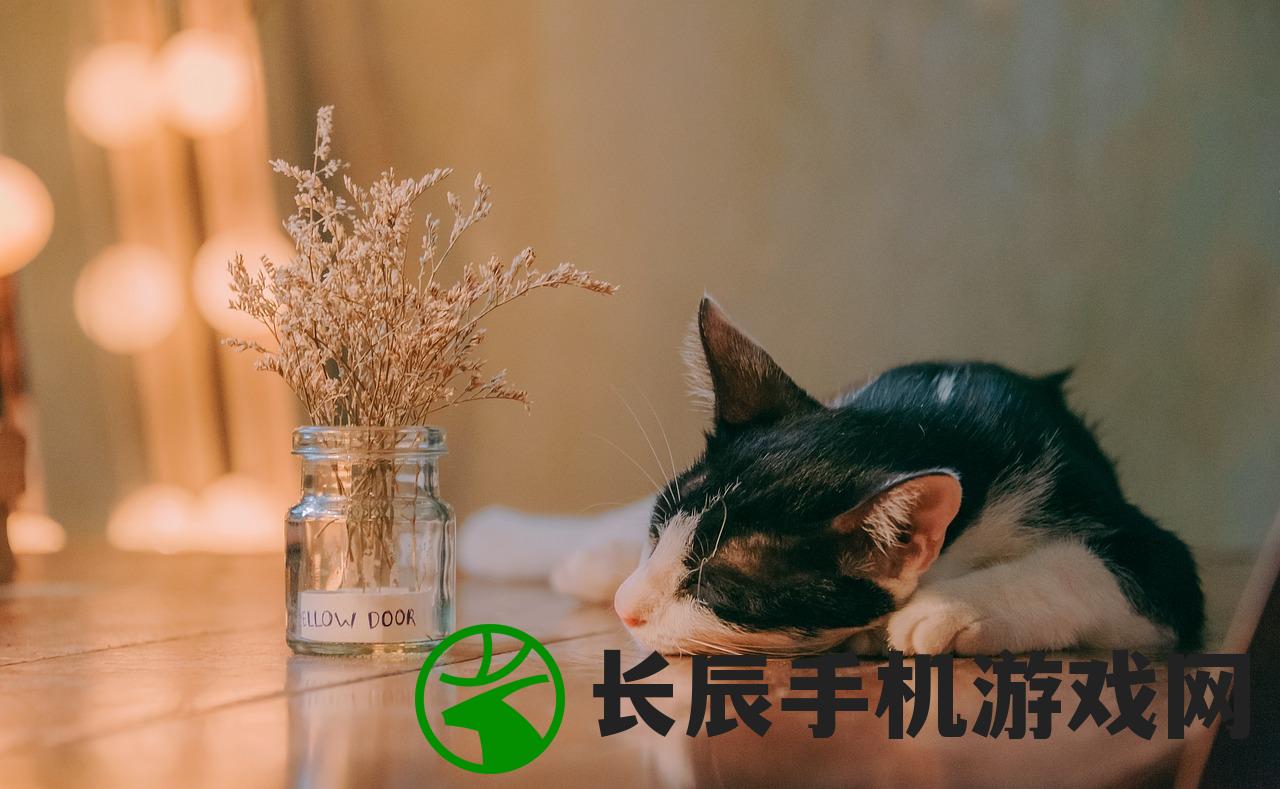 (猫咪田园官网)猫咪田园下架后的门店体验：重返自然，与猫咪共赏新生活