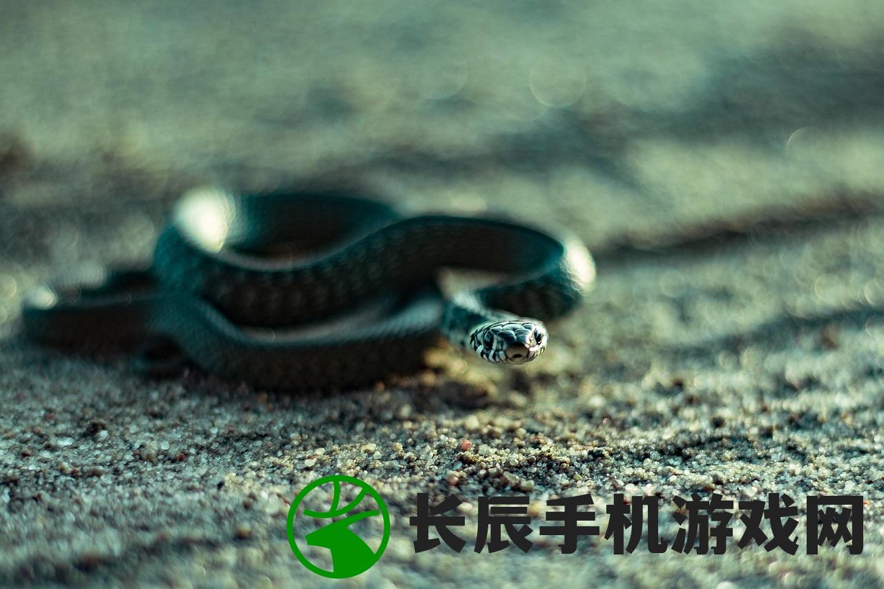 (晴雅集最后祸蛇怎么了)晴雅集最后祸蛇去哪里了？离奇消失引发蛇迷猜想
