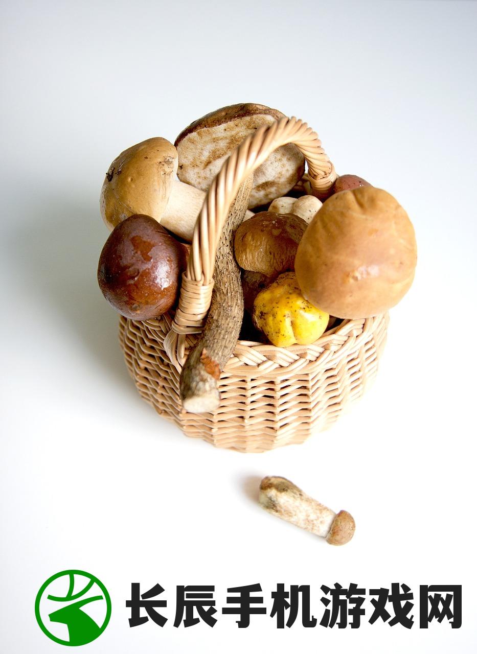 (口味鸭的做法:学会最正宗的烹饪技巧和秘方)口味鸭的做法:学会最正宗的烹饪技巧和秘方 (口味鸭的做法:学会最正宗的烹饪技巧和秘方)口味鸭的做法:学会最正宗的烹饪技巧和秘方