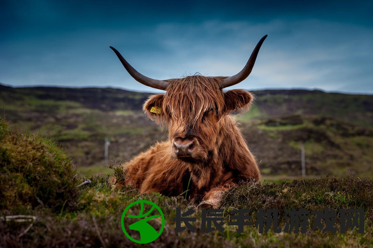 (独特霸气动物代号)超赞霸气动物代号,好听炫酷尽显无敌风采