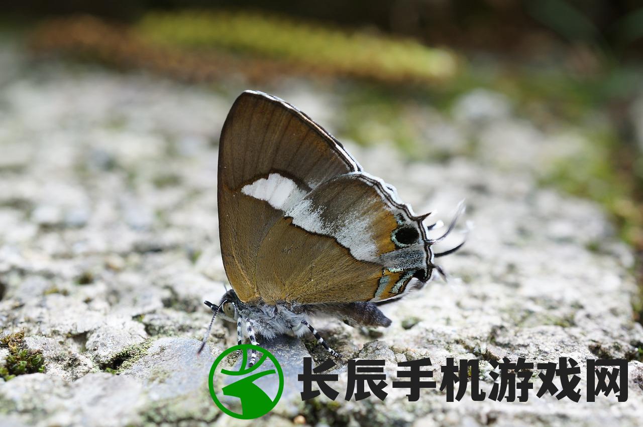 (独特霸气动物代号)超赞霸气动物代号,好听炫酷尽显无敌风采 (独特霸气动物代号)超赞霸气动物代号,好听炫酷尽显无敌风采