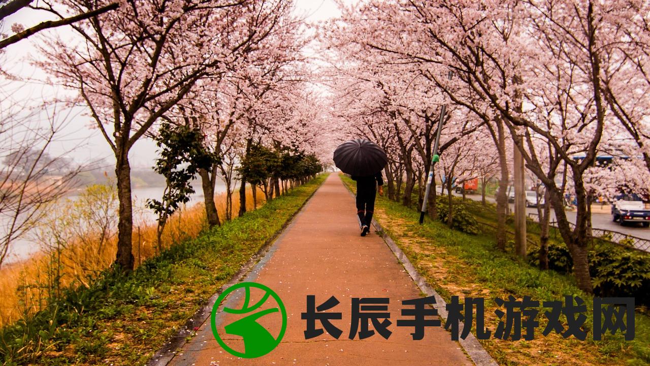 (下一站江湖潇隐村江湖人士)下一站江湖2云潇山庄小桥：探寻江湖传说中的秘密徽信。