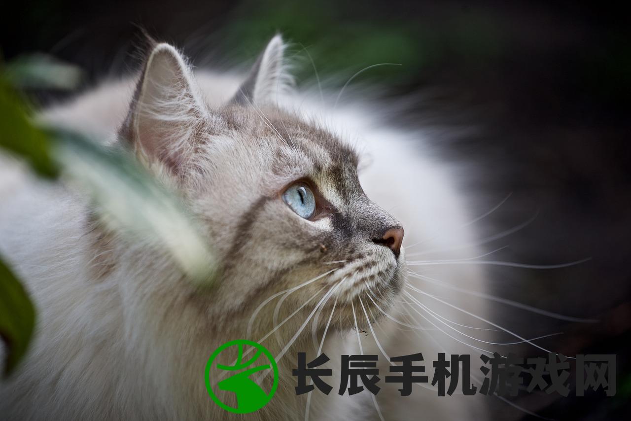 (神雕侠侣:问世间)神雕侠侣，武侠江湖的传世之作